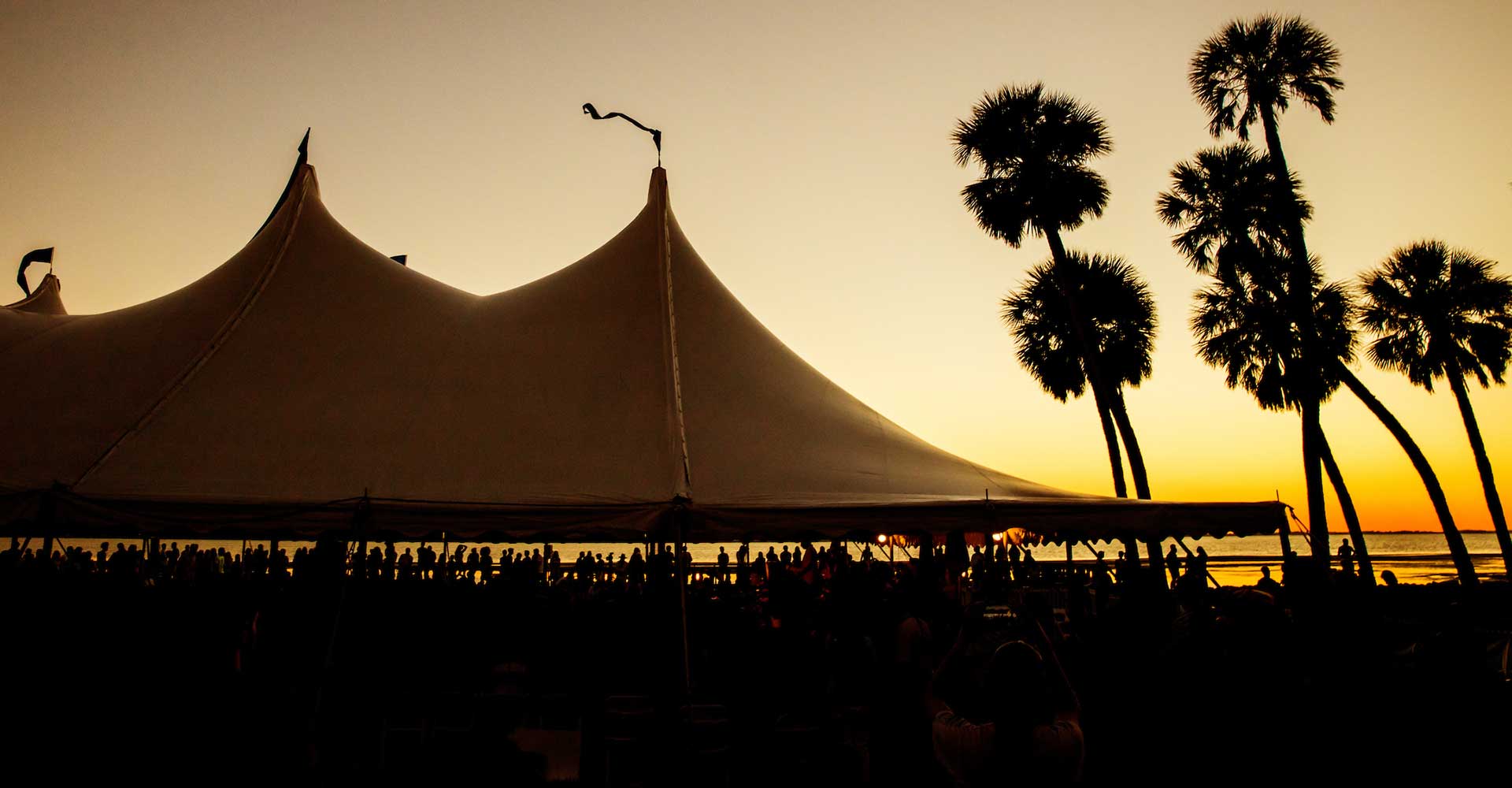 event tent and palm trees in a sunset