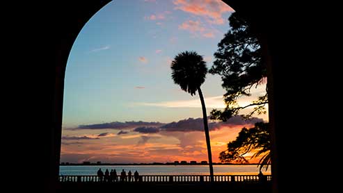 sunset palm tree in an arch